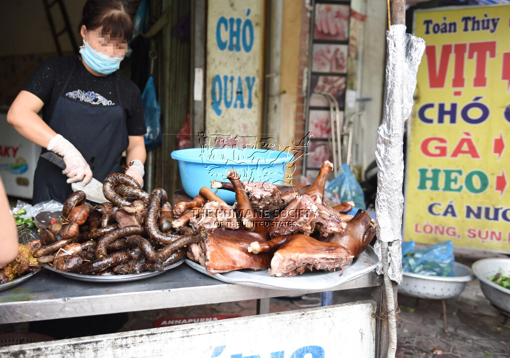 Các[-]nhà[-]vận[-]động[-]đoàn[-]kết[-]kêu[-]gọi[-]chính[-]phủ[-]các[-]nước[-]châu[-]Á[-]chấm[-]dứt[-]hoạt[-]động[-]buôn[-]bán[-]thịt[-]chó,[-]mèo[-]